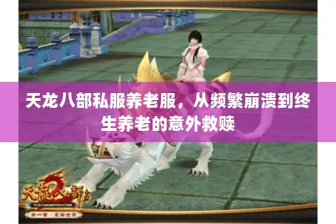 天龙八部私服养老服,从频繁崩溃到终生养老的意外救赎 天龙八部私服养老服,从频繁崩溃到终生养老的意外救赎