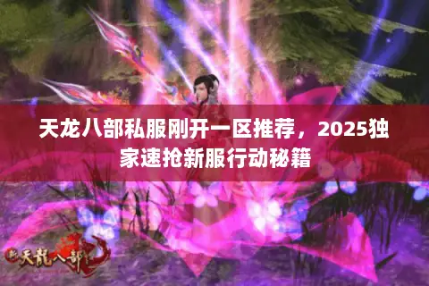 天龙八部私服刚开一区推荐,2025独家速抢新服行动秘籍 天龙八部私服刚开一区推荐,2025独家速抢新服行动秘籍