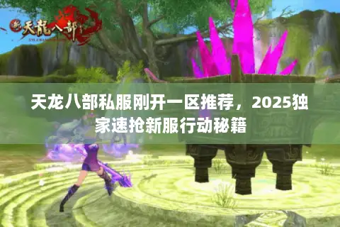 天龙八部私服刚开一区推荐,2025独家速抢新服行动秘籍 天龙八部私服刚开一区推荐,2025独家速抢新服行动秘籍