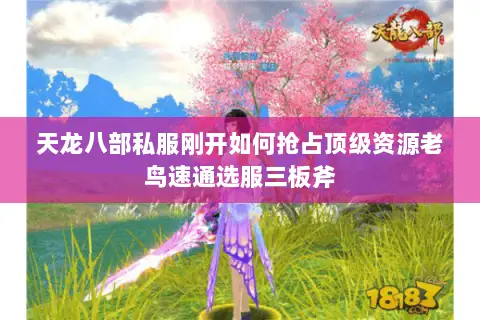天龙八部私服刚开如何抢占顶级资源老鸟速通选服三板斧 天龙八部私服刚开如何抢占顶级资源老鸟速通选服三板斧