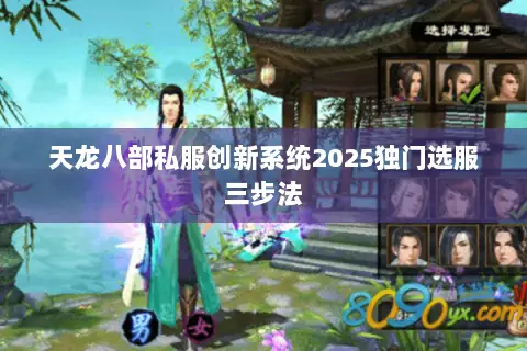 天龙八部私服创新系统2025独门选服三步法 天龙八部私服创新系统2025独门选服三步法
