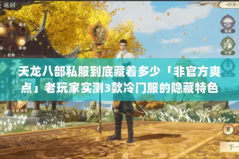 天龙八部私服到底藏着多少「非官方爽点」老玩家实测3款冷门服的隐藏特色