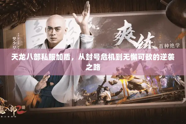 天龙八部私服加盾,从封号危机到无懈可敌的逆袭之路 天龙八部私服加盾,从封号危机到无懈可敌的逆袭之路