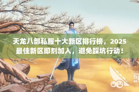 天龙八部私服十大新区排行榜，2025最佳新区即刻加入，避免踩坑行动！