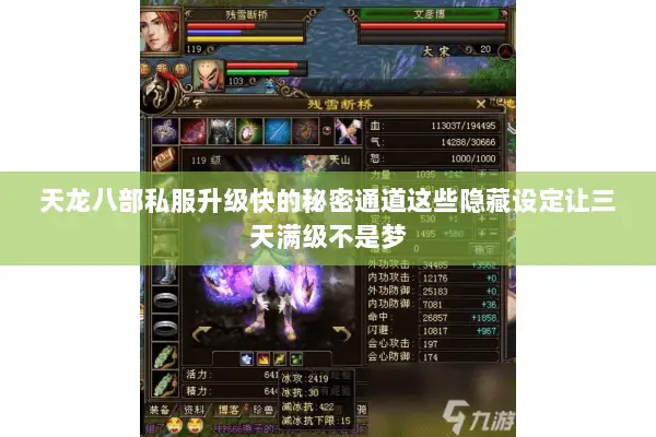天龙八部私服升级快的秘密通道这些隐藏设定让三天满级不是梦 天龙八部私服升级快的秘密通道这些隐藏设定让三天满级不是梦