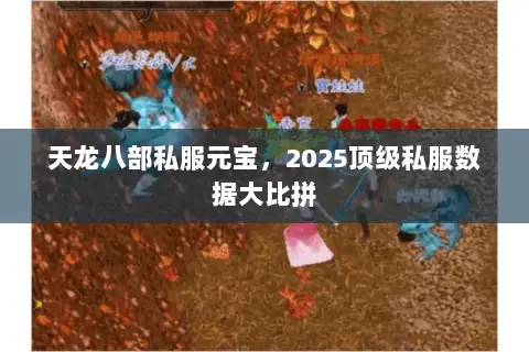天龙八部私服元宝,2025顶级私服数据大比拼 天龙八部私服元宝,2025顶级私服数据大比拼