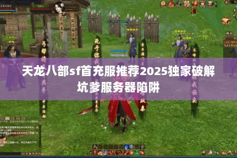 天龙八部sf首充服推荐2025独家破解坑爹服务器陷阱