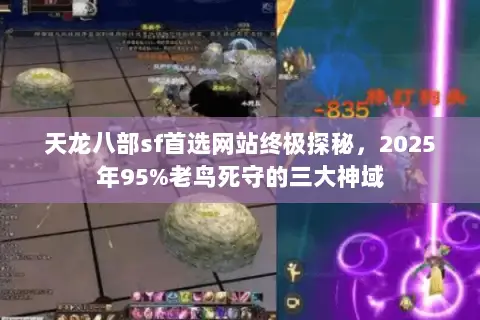 天龙八部sf首选网站终极探秘,2025年95%老鸟死守的三大神域 天龙八部sf首选网站终极探秘,2025年95%老鸟死守的三大神域
