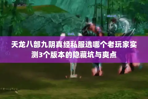 天龙八部九阴真经私服选哪个老玩家实测3个版本的隐藏坑与爽点