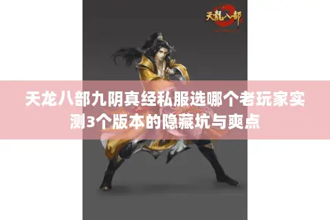 天龙八部九阴真经私服选哪个老玩家实测3个版本的隐藏坑与爽点