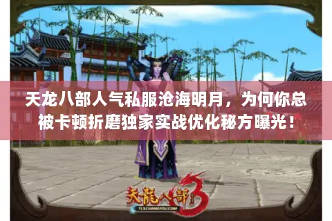 天龙八部人气私服沧海明月，为何你总被卡顿折磨独家实战优化秘方曝光！