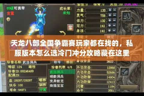 天龙八部全国争霸赛玩家都在找的,私服版本怎么选冷门冲分攻略藏在这里 天龙八部全国争霸赛玩家都在找的,私服版本怎么选冷门冲分攻略藏在这里