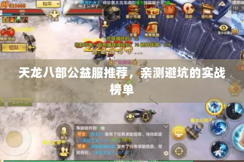 天龙八部公益服推荐，亲测避坑的实战榜单