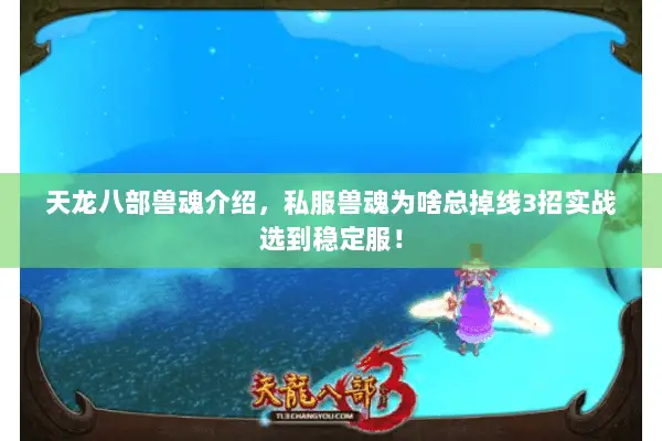 天龙八部兽魂介绍，私服兽魂为啥总掉线3招实战选到稳定服！