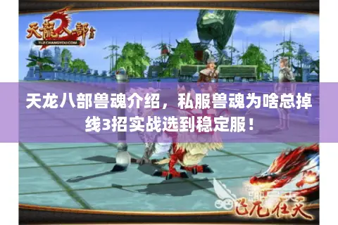 天龙八部兽魂介绍，私服兽魂为啥总掉线3招实战选到稳定服！