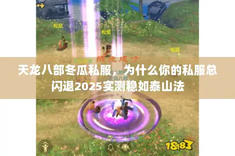天龙八部冬瓜私服,为什么你的私服总闪退2025实测稳如泰山法 天龙八部冬瓜私服,为什么你的私服总闪退2025实测稳如泰山法