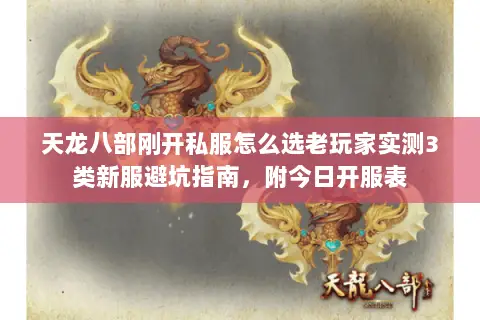 天龙八部刚开私服怎么选老玩家实测3类新服避坑指南，附今日开服表
