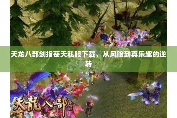 天龙八部剑指苍天私服下载,从风险到真乐趣的逆转 天龙八部剑指苍天私服下载,从风险到真乐趣的逆转