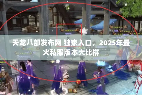 天龙八部发布网 独家入口,2025年最火私服版本大比拼 天龙八部发布网 独家入口,2025年最火私服版本大比拼