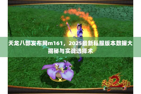 天龙八部发布网m161,2025最新私服版本数据大揭秘与实战选择术 天龙八部发布网m161,2025最新私服版本数据大揭秘与实战选择术