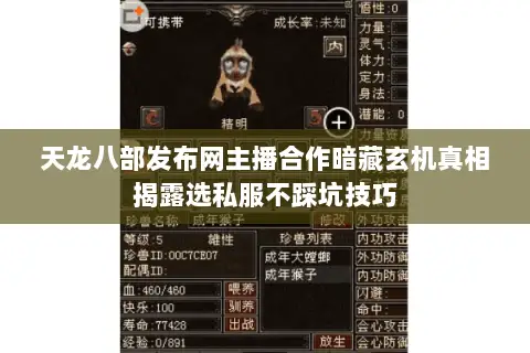 天龙八部发布网主播合作暗藏玄机真相揭露选私服不踩坑技巧