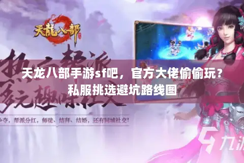 天龙八部手游sf吧，官方大佬偷偷玩？私服挑选避坑路线图