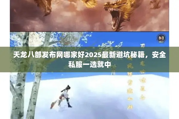 天龙八部发布网哪家好2025最新避坑秘籍，安全私服一选就中