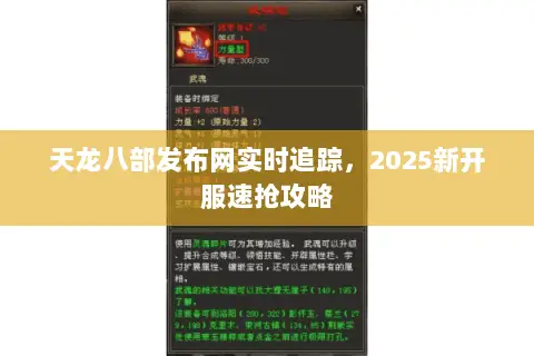 天龙八部发布网实时追踪,2025新开服速抢攻略 天龙八部发布网实时追踪,2025新开服速抢攻略