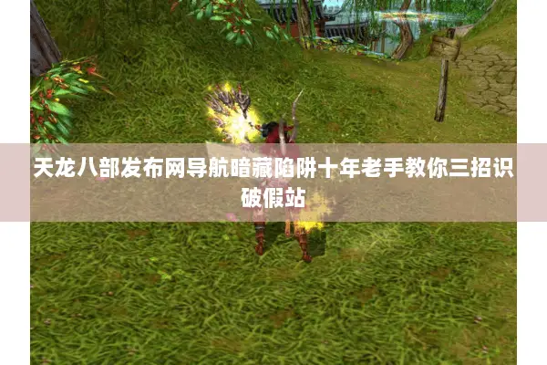 天龙八部发布网导航暗藏陷阱十年老手教你三招识破假站 天龙八部发布网导航暗藏陷阱十年老手教你三招识破假站