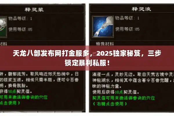 天龙八部发布网打金服多,2025独家秘笈,三步锁定暴利私服! 天龙八部发布网打金服多,2025独家秘笈,三步锁定暴利私服!