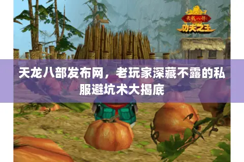 天龙八部发布网，老玩家深藏不露的私服避坑术大揭底