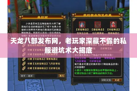 天龙八部发布网，老玩家深藏不露的私服避坑术大揭底