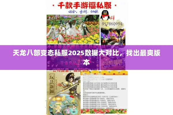 天龙八部变态私服2025数据大对比,找出最爽版本 天龙八部变态私服2025数据大对比,找出最爽版本