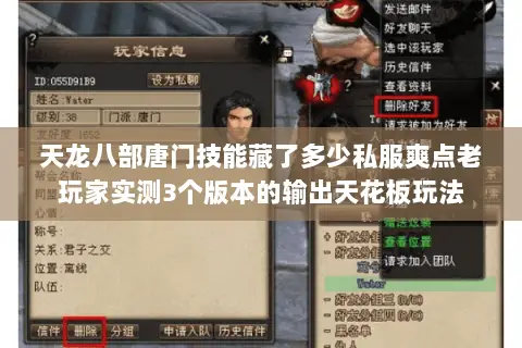 天龙八部唐门技能藏了多少私服爽点老玩家实测3个版本的输出天花板玩法