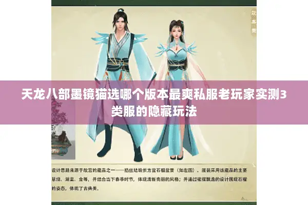 天龙八部墨镜猫选哪个版本最爽私服老玩家实测3类服的隐藏玩法