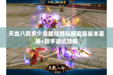 天龙八部多少级能结婚私服官服版本差异+新手避坑攻略 天龙八部多少级能结婚私服官服版本差异+新手避坑攻略