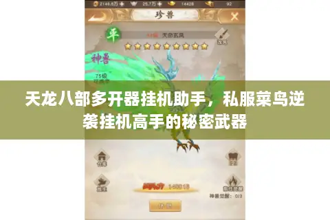 天龙八部多开器挂机助手，私服菜鸟逆袭挂机高手的秘密武器