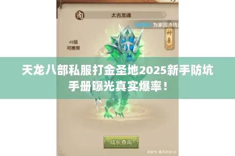 天龙八部私服打金圣地2025新手防坑手册曝光真实爆率! 天龙八部私服打金圣地2025新手防坑手册曝光真实爆率!