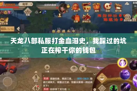 天龙八部私服打金血泪史,我踩过的坑正在榨干你的钱包 天龙八部私服打金血泪史,我踩过的坑正在榨干你的钱包