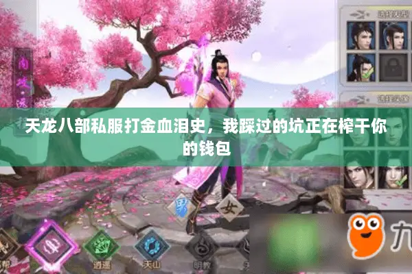 天龙八部私服打金血泪史,我踩过的坑正在榨干你的钱包 天龙八部私服打金血泪史,我踩过的坑正在榨干你的钱包