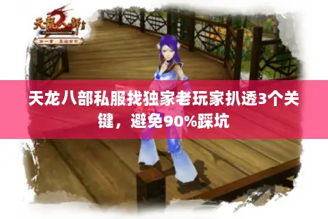 天龙八部私服找独家老玩家扒透3个关键，避免90%踩坑