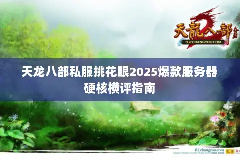 天龙八部私服挑花眼2025爆款服务器硬核横评指南 天龙八部私服挑花眼2025爆款服务器硬核横评指南