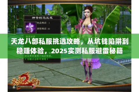 天龙八部私服挑选攻略,从坑钱陷阱到稳赚体验,2025实测私服避雷秘籍 天龙八部私服挑选攻略,从坑钱陷阱到稳赚体验,2025实测私服避雷秘籍