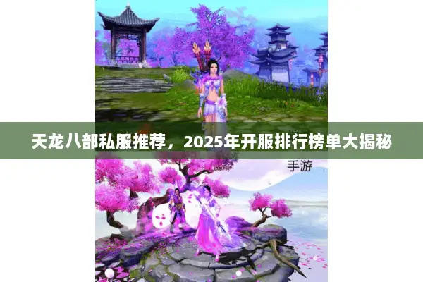 天龙八部私服推荐,2025年开服排行榜单大揭秘 天龙八部私服推荐,2025年开服排行榜单大揭秘