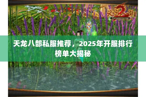 天龙八部私服推荐,2025年开服排行榜单大揭秘 天龙八部私服推荐,2025年开服排行榜单大揭秘