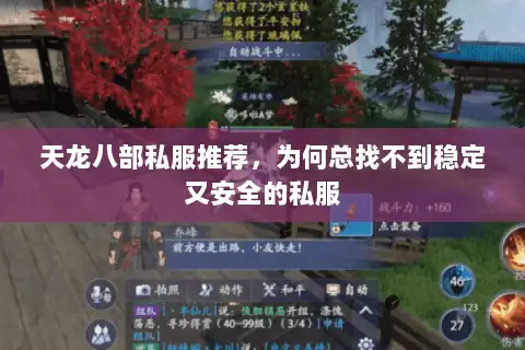 天龙八部私服推荐，为何总找不到稳定又安全的私服