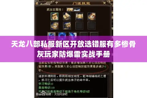 天龙八部私服新区开放选错服有多惨骨灰玩家防爆雷实战手册