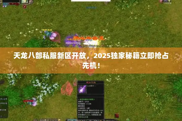 天龙八部私服新区开放,2025独家秘籍立即抢占先机! 天龙八部私服新区开放,2025独家秘籍立即抢占先机!