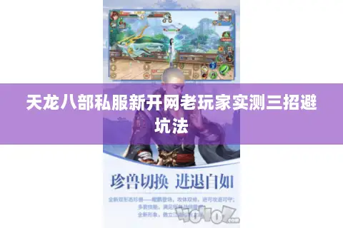 天龙八部私服新开网老玩家实测三招避坑法