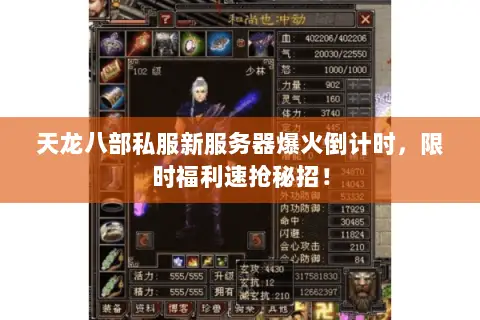 天龙八部私服新服务器爆火倒计时,限时福利速抢秘招! 天龙八部私服新服务器爆火倒计时,限时福利速抢秘招!